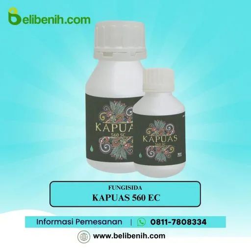 Kapuas 560 SC