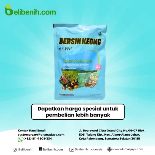 Bersih Keong 65 WP