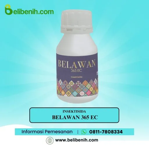 Belawan 365 EC