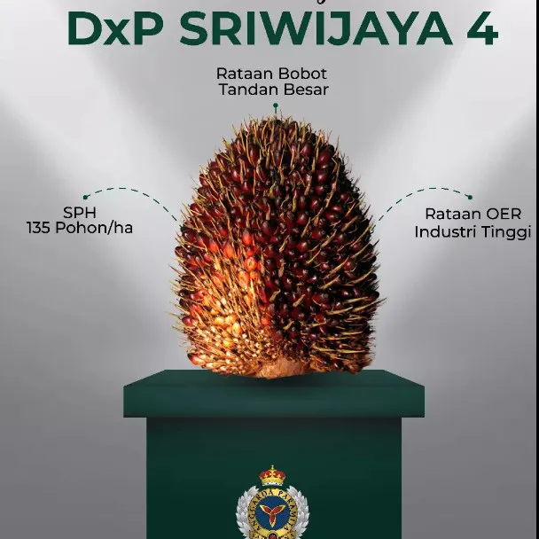 DxP Sriwijaya 4