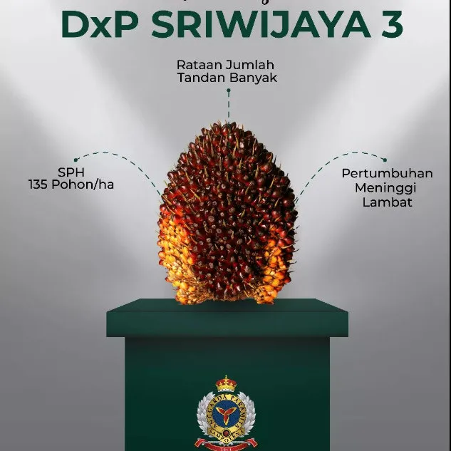 DxP Sriwijaya 3