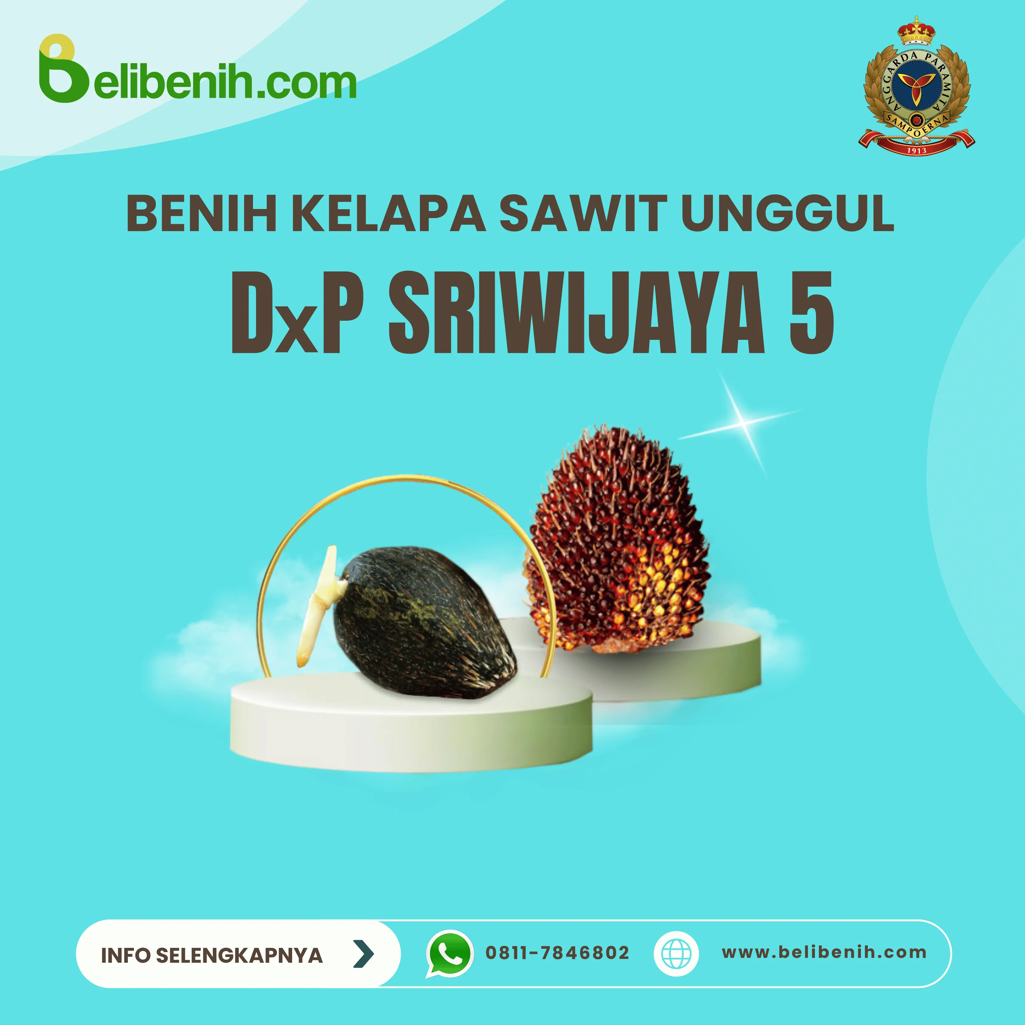 DxP Sriwijaya 5