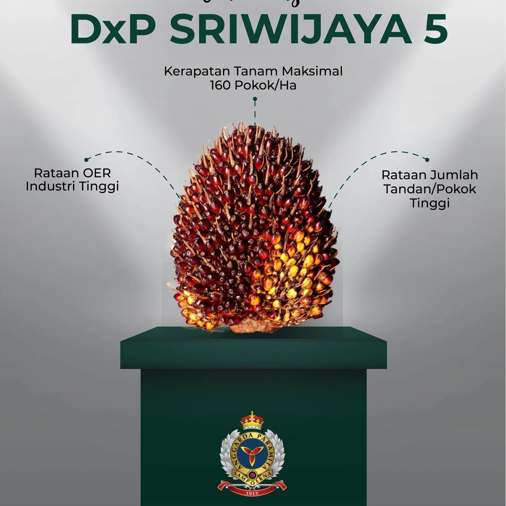 DxP Sriwijaya 5