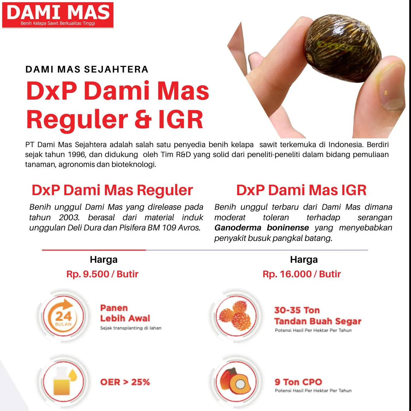 DxP Dami Mas IGR (Toleran Ganoderma)